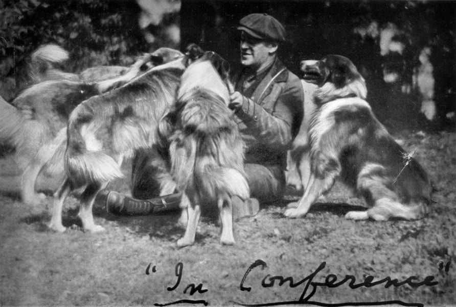 A man sitting on the ground with two dogs.