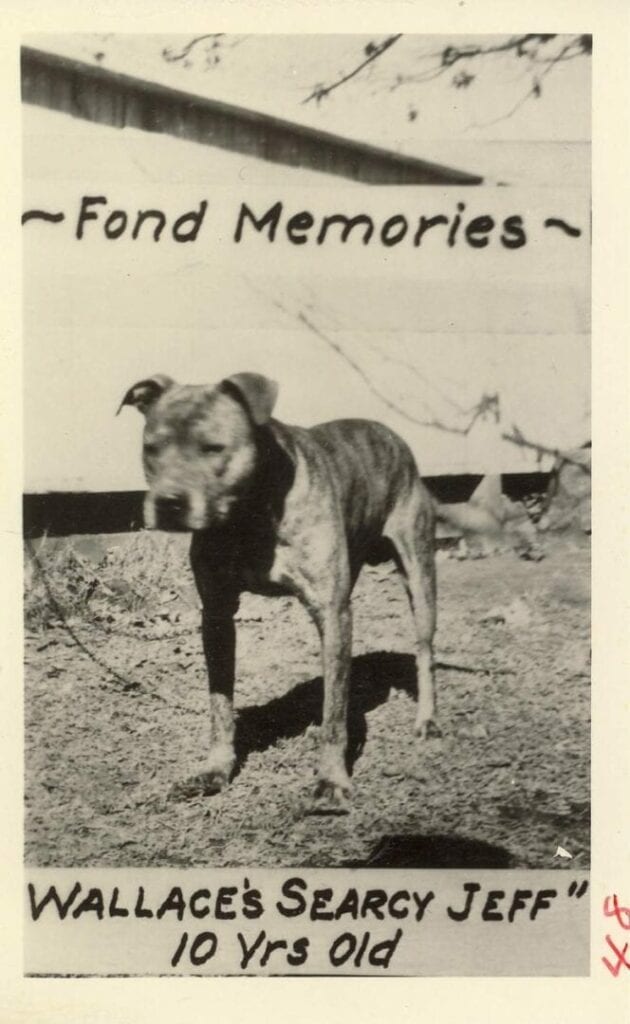 A dog standing in the dirt with words " fond memories ".