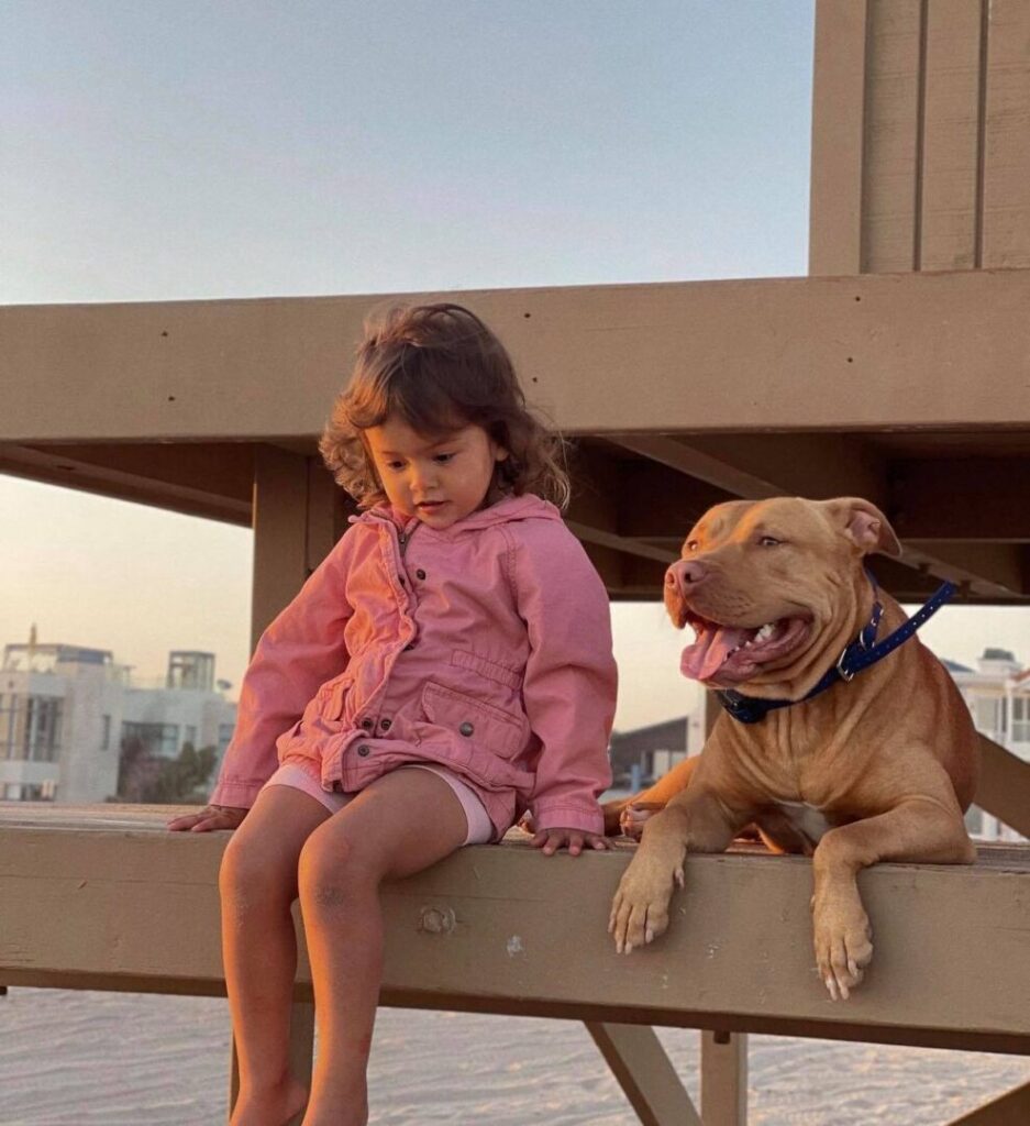 A little girl sitting on the ground next to a dog.