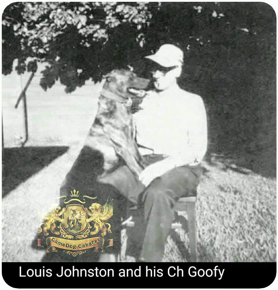 A man sitting on top of a bench with his dog.